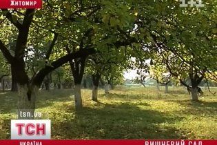 В Житомире хотят вырубить фруктовый сад для возведения гипермаркета