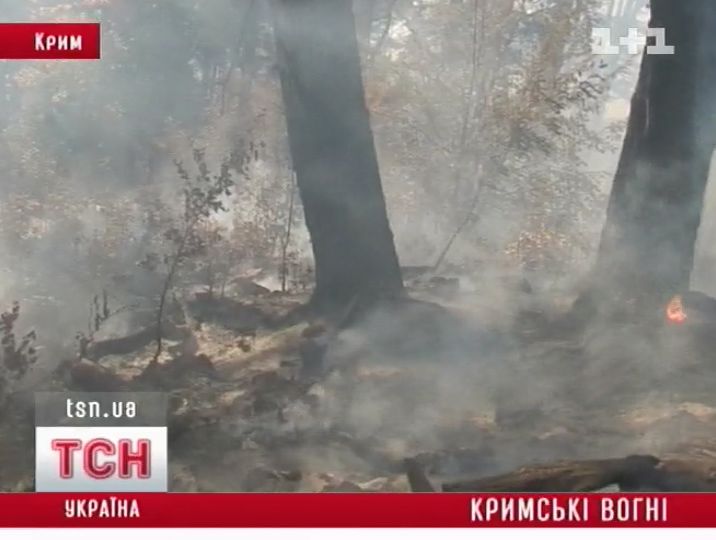 02_pozchar