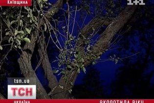 На Київщині через знущання школярів повісилася 9-річна дівчинка