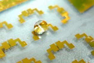Волосатая нанотехнология защитит ноутбук от пролитого кофе