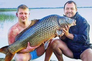 Волинські рибалки зловили коропа вагою з 10-річну дитину