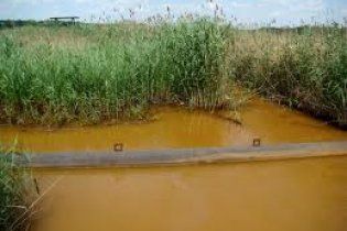 На Луганщині почервоніла річка, яка впадає у водосховище