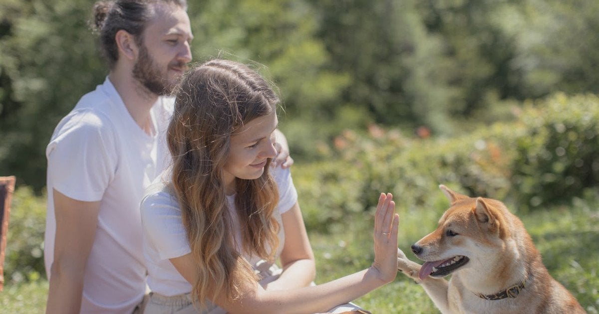 Чи собаки розуміють мову людини