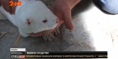 На Житомирщині селяни протестують проти хутряної ферми