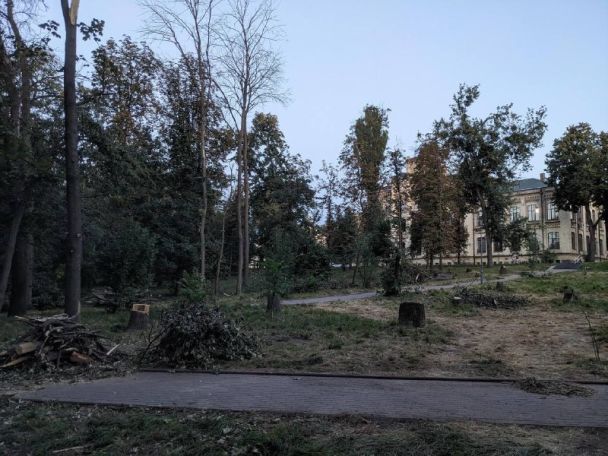 В КПИ уже пообещали, что на месте удаленных деревьев в октябре-ноябре высадят новые