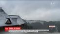 Карпаты замело: в горах образовались полуметровые сугробы