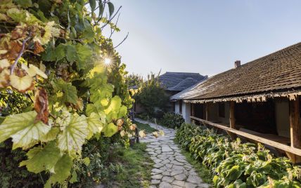 Дегустація вин та гастротури: чим Молдова може зацікавити українського туриста