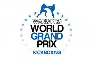 Украинские кикбоксеры блестяще выступили на чемпионате мира