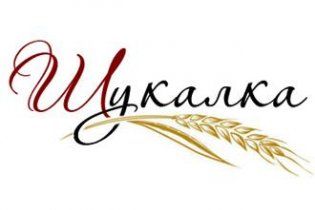 В юанеті з’явиться національний "гугл" - Шукалка