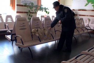 Житель Кривого Рогу "мінував" вокзал понад 70 разів