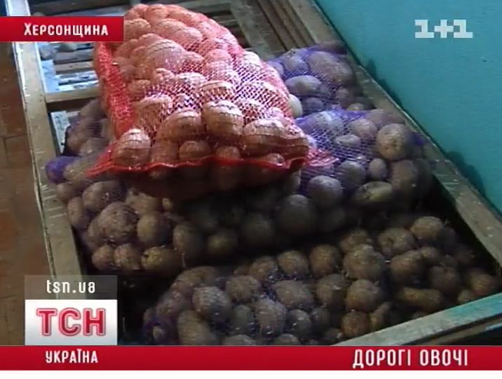 08_xarchi