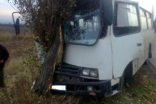 Водій автобуса з 20 пасажирами врізався в дерево: є постраждалі