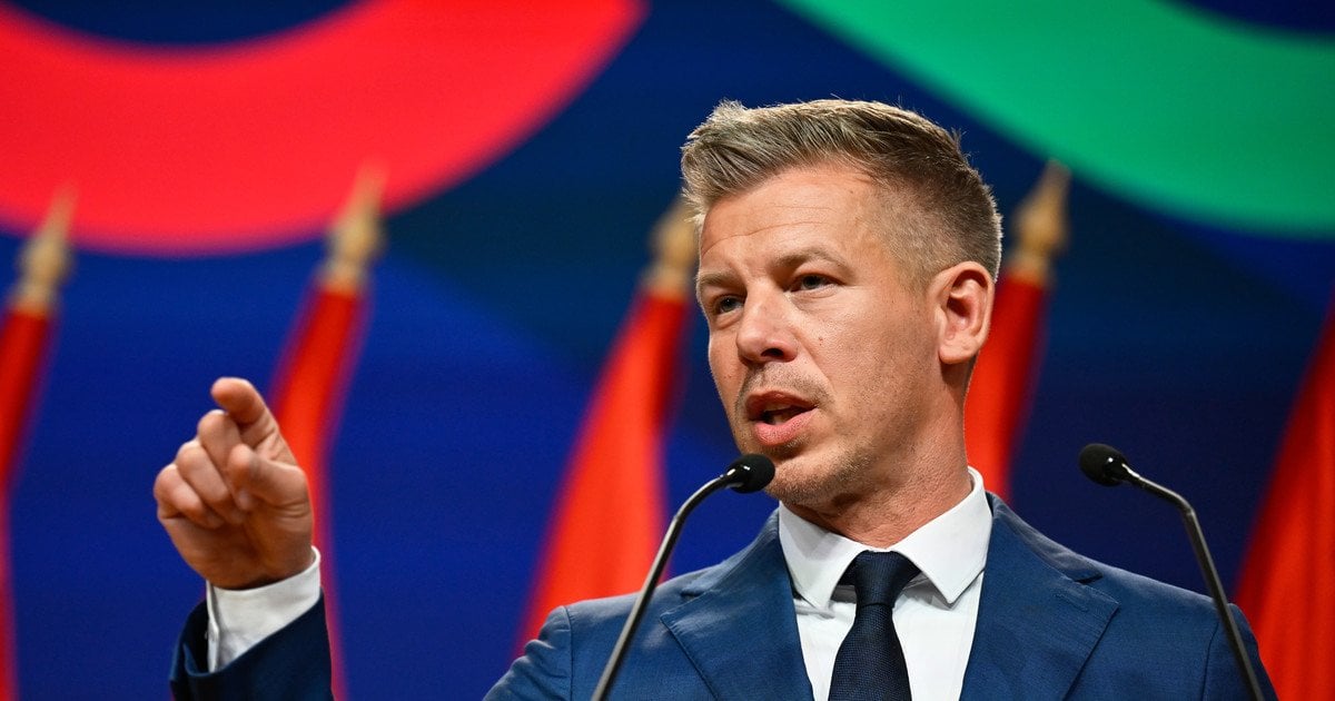 Лідер партії «Тиса» Петер Мадяр