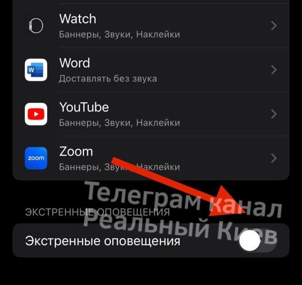 Як вимкнути екстрені сповіщення на IOS / © із соцмереж