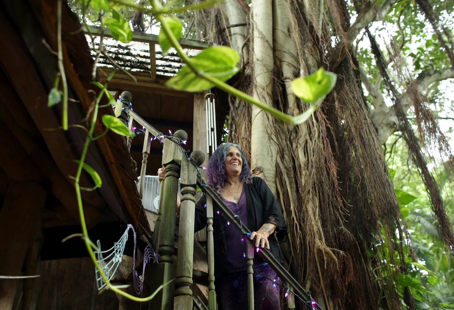Бабушку заставили снести дом на дереве, в котором она жила 17 лет — ТСН,  новости 1+1 — Курьезы