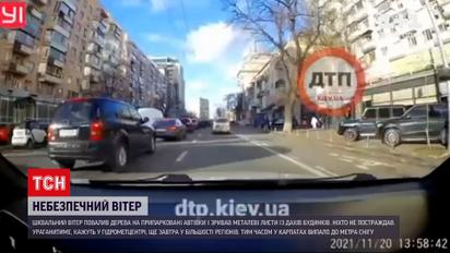 Погода в Україні: шквальний вітер наробив лиха в Києві