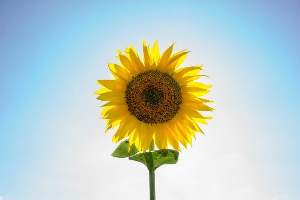 Народні прикмети 19 липня / © Unsplash