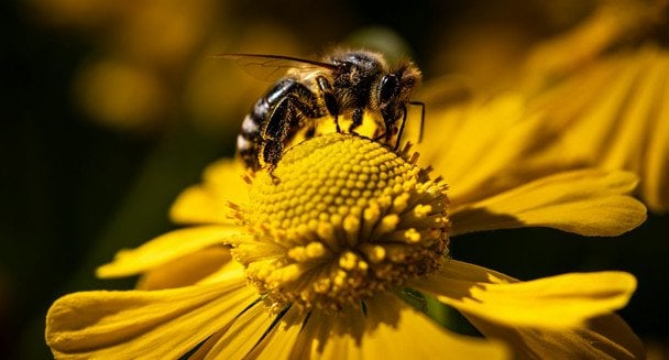 Народні прикмети 24 серпня / © unsplash.com