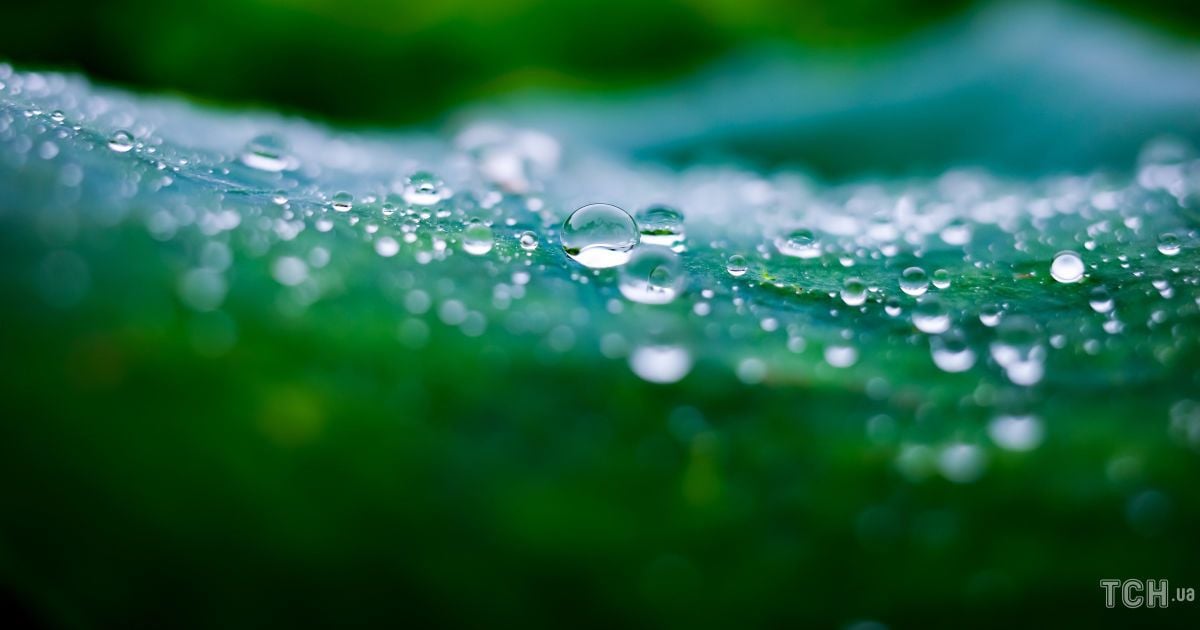 Гороскоп на 5 августа для всех знаков Зодиака: день, когда можно устраивать праздники