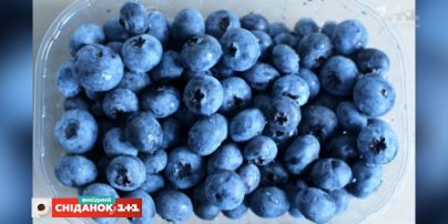 Чому лохина має бути в раціоні у кожного