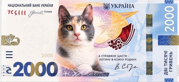 Пользователь Miss Murlya пишет: «Предыдущая версия новой 2000 купюры должна выглядеть так».