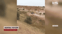 Війна на Донеччині