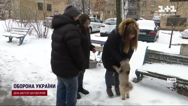 Родина із собакою / ©