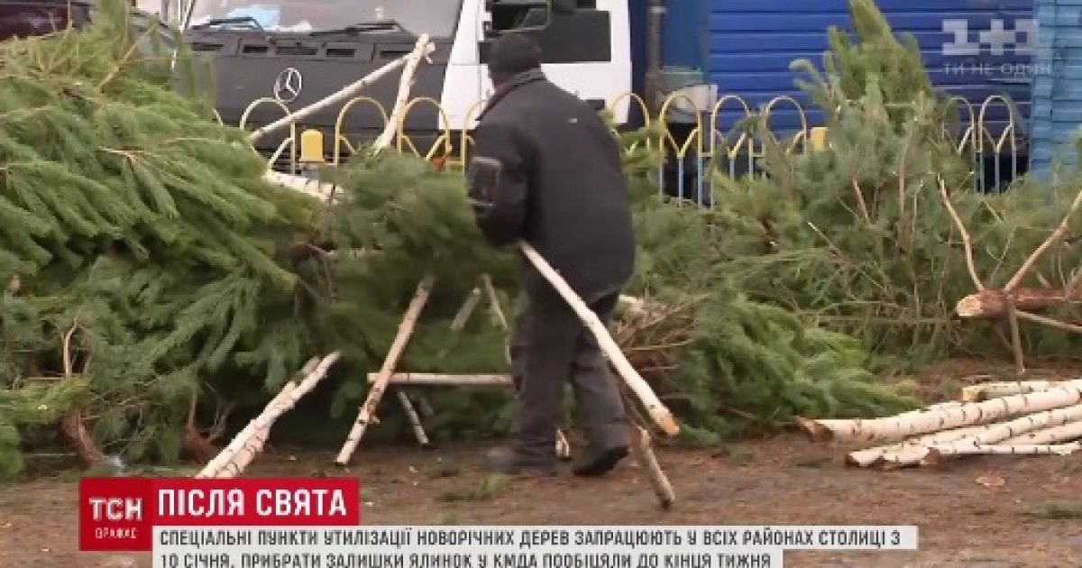 Киевляне объединяются, чтобы самостоятельно убрать многочисленные "елочные кладбища"