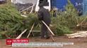 Киевляне объединяются, чтобы самостоятельно убрать многочисленные "елочные кладбища"