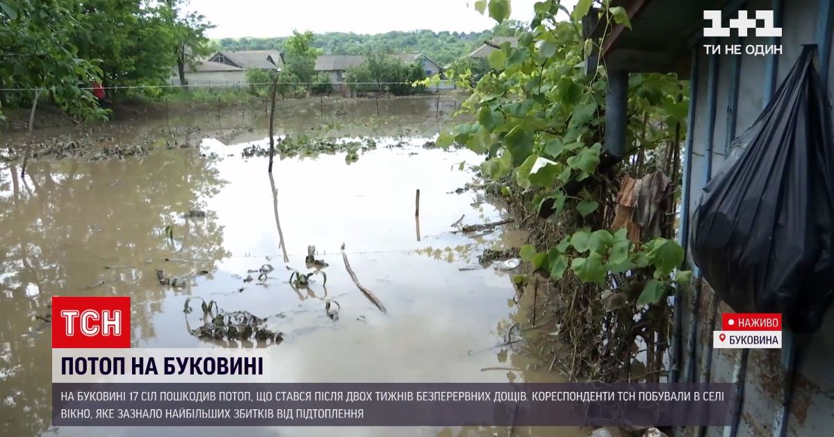 Новости Украины: какой вред нанесла высокая вода на Буковине