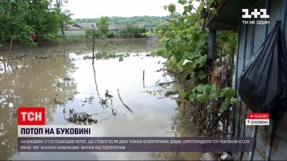 Новости Украины: какой вред нанесла высокая вода на Буковине