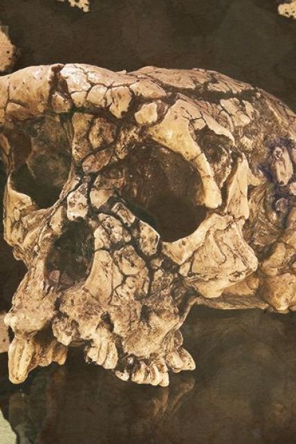 Вчені знайшли рештки найдавнішої людини у Європі. Як це змінює наше уявлення про Homo Sapiens