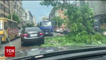 В столице дерево заблокировало движение транспорта