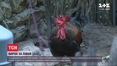 Во Франции осудили мужчину, который застрелил и проткнул железным прутом петуха