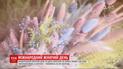 День весни чи день боротьби за жіночі права: що треба відзначати 8 березня