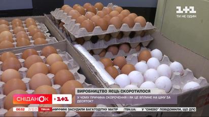 Производство яиц сократилось: в чем причина и как это отразится на цене