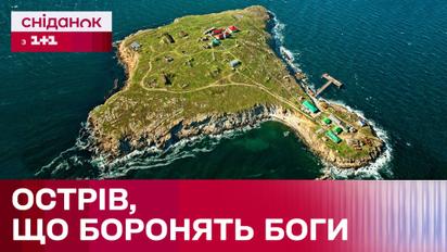 Зміїний, який ви ще не бачили! Дивовижна музейна експозиція з унікальними знахідками-скарбами