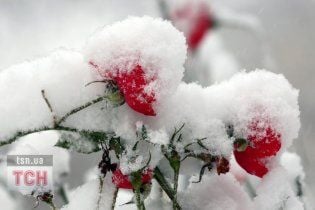 Через тиждень Україну накриють затяжні морози до -20 градусів