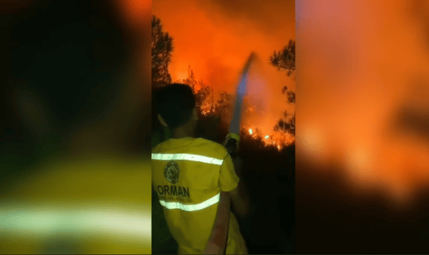 Пекло в Туреччині: рекордна спека 50°C спричинила лісові пожежі — багато загиблих