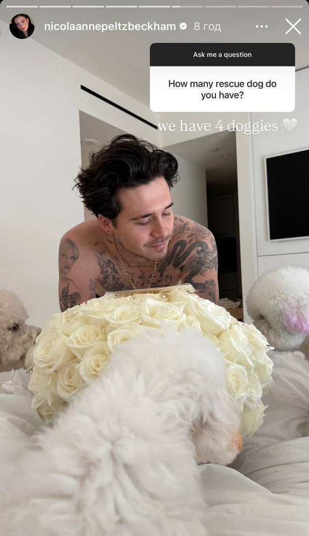  / © Instagram Николы Пельтц