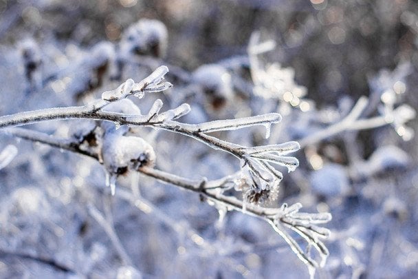 Народные приметы 4 февраля / © pexels.com