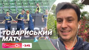 Украина сыграли в ничью с Германией: Игорь Цыганык прокомментировал товарищеский матч