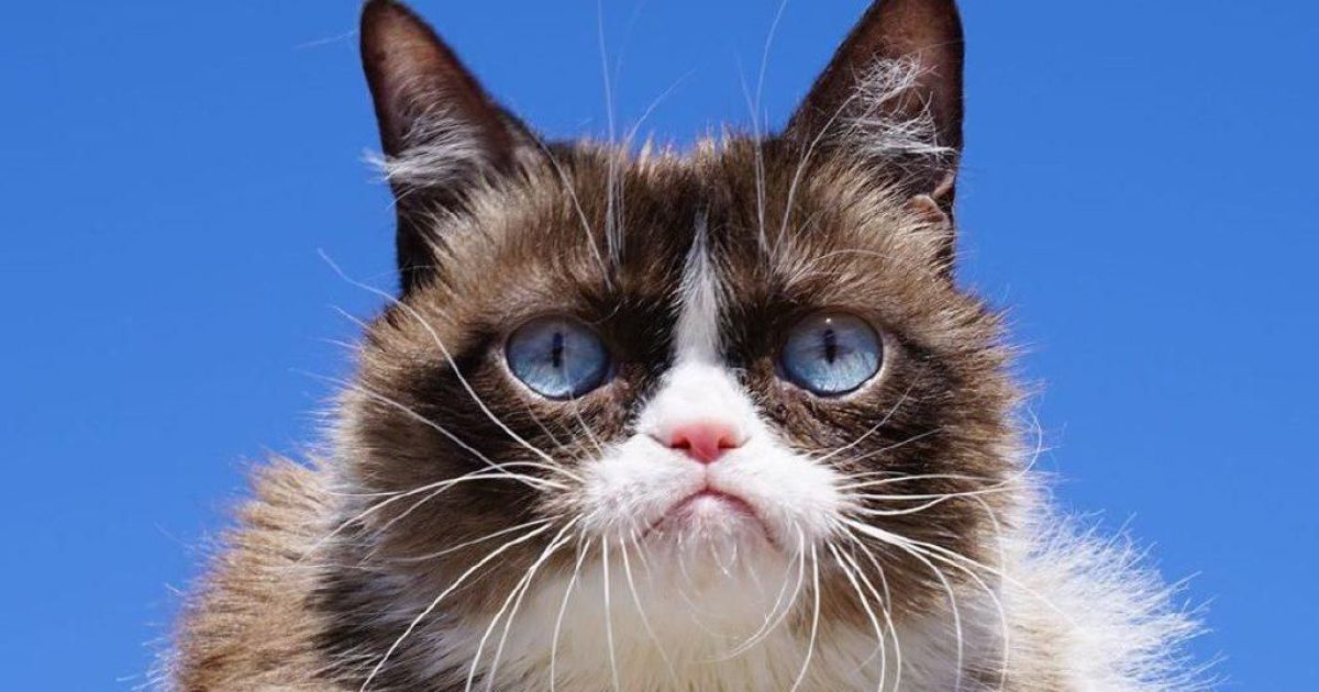 Ешектегі кемпірді блять