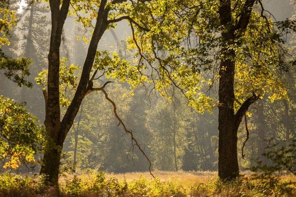 Народні прикмети 12 вересня / © pexels.com