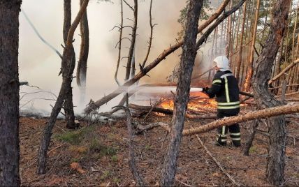 У Луганській області ліквідували всі лісові пожежі