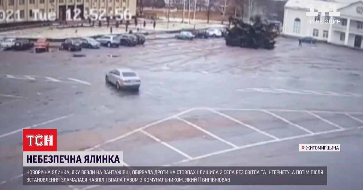 Во время падения "невезучей" елки в Житомирской области пострадал отец 12 детей