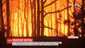 Масштабні лісові пожежі охопили схід Південної Кореї