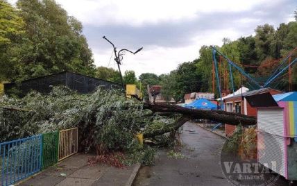 Непогода обесточила 123 населенных пункта во Львовской области и повалила десятки деревьев: фото
