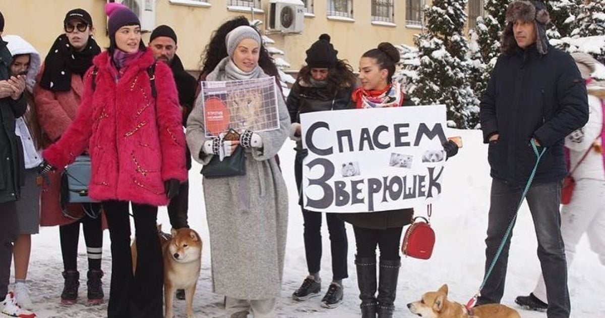 Даша Астафьева в лютый мороз вышла на митинг на улицы Киева