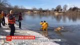Порятунок оленя: пожежники витягли тварину, яка провалилися під лід на озері